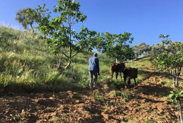 Foto - Günlük kazancı dudak uçuklattı! Gençler beğenmiyor ama para basıyor