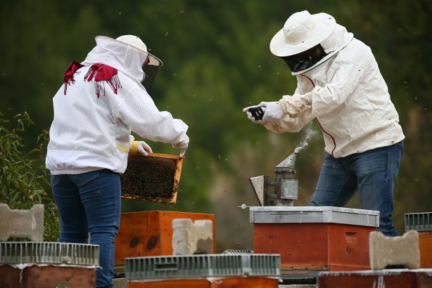 Foto - Günlük kazancı net 9 bin lira! Türkiye'de bu mesleği sadece 5 kişi yapıyor! Bunu yapan para içinde yüzüyor 