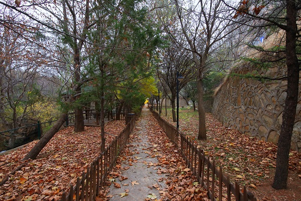 Foto - Günpınar Şelalesi’nde sonbahar güzelliği