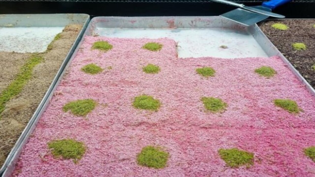 Foto - Günümüze kadar ulaşan harika lezzet! Osmanlı'nın geleneksel tatlısı güllaç nasıl yapılır?