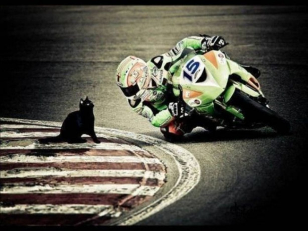 Foto - Günün en çok beğenilen fotoğrafları