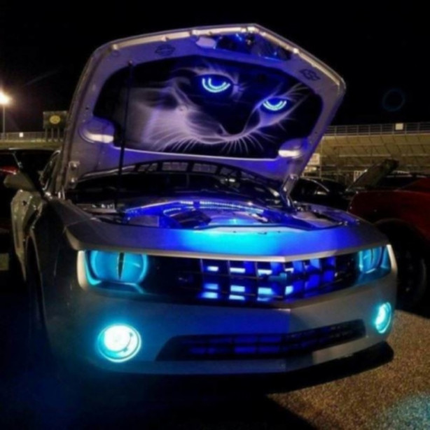 Foto - Günün en çok beğenilen fotoğrafları