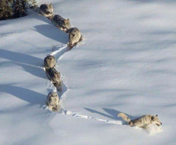 Foto - Günün en çok beğenilen fotoğrafları