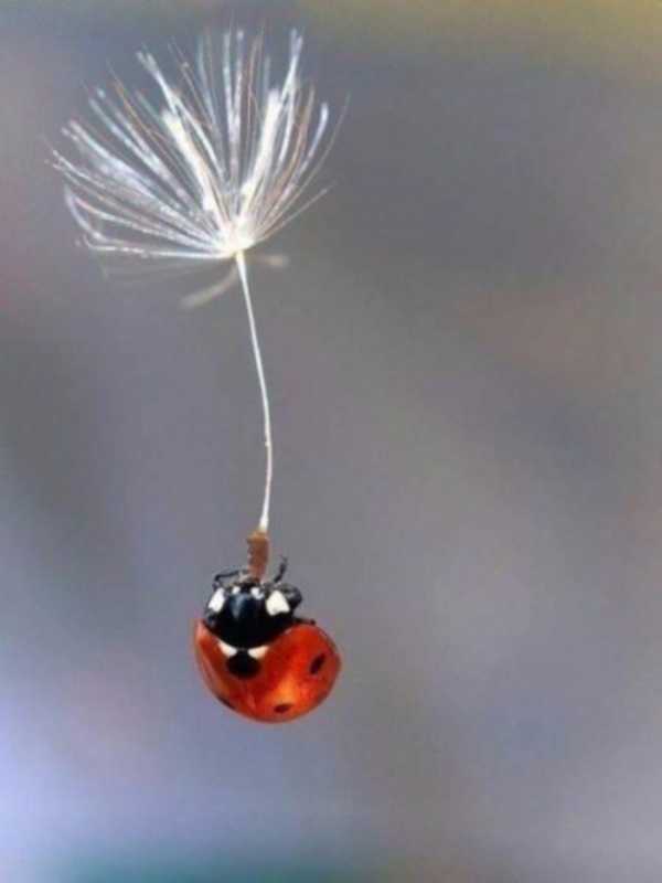 Foto - Günün en çok beğenilen fotoğrafları