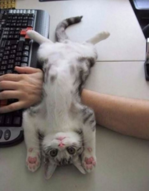 Foto - Günün en çok beğenilen fotoğrafları