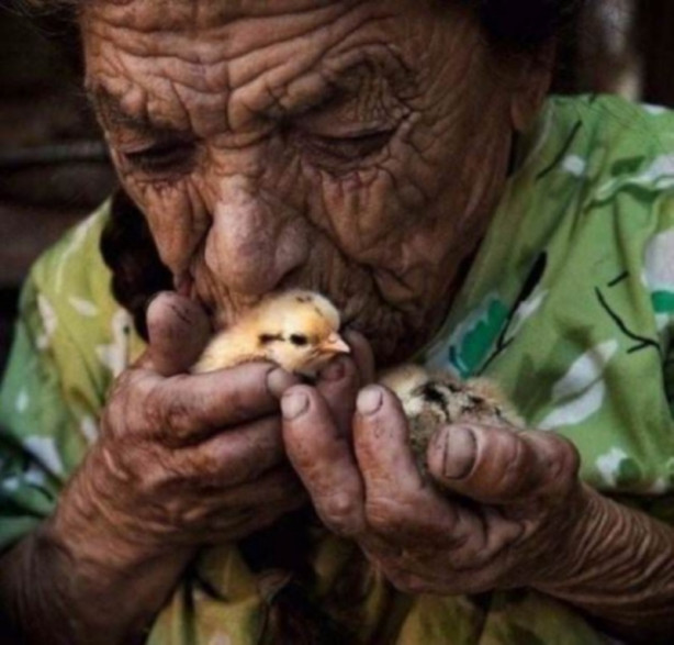 Foto - Günün en çok beğenilen fotoğrafları