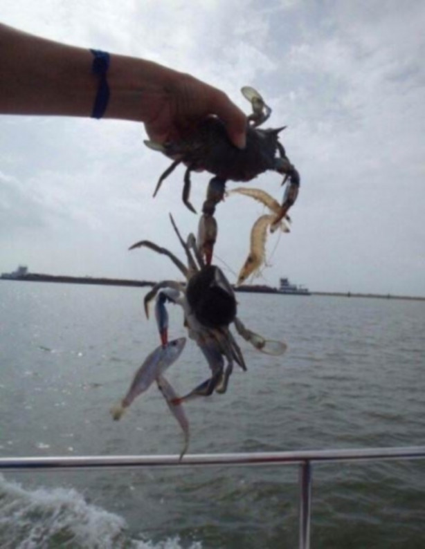 Foto - Günün en çok beğenilen fotoğrafları