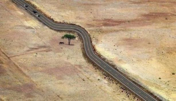 Foto - Günün en çok beğenilen fotoğrafları