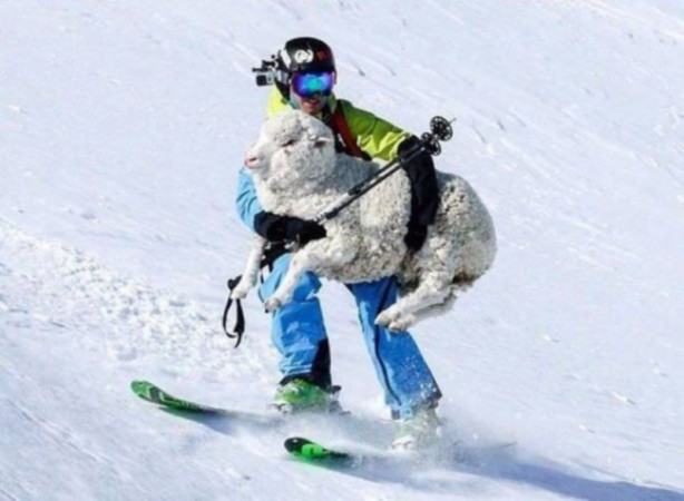 Foto - Günün en çok beğenilen fotoğrafları