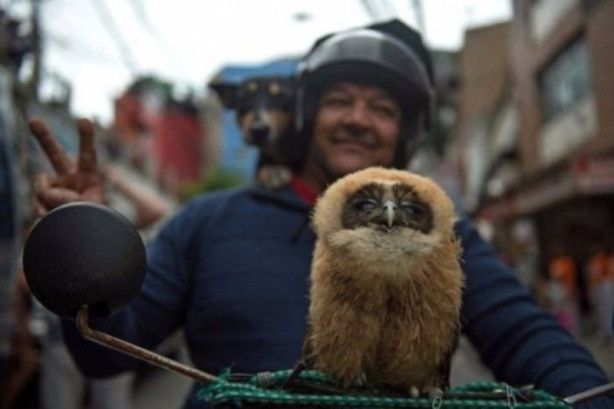 Foto - Günün en çok beğenilen fotoğrafları
