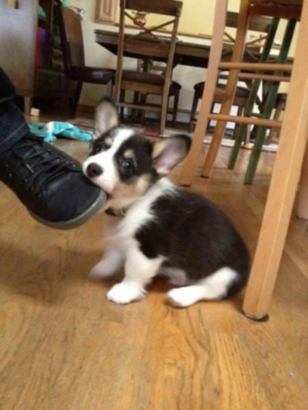 Foto - Günün en çok beğenilen fotoğrafları