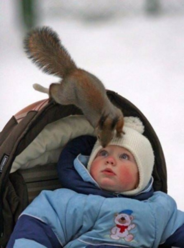 Foto - Günün en çok beğenilen fotoğrafları