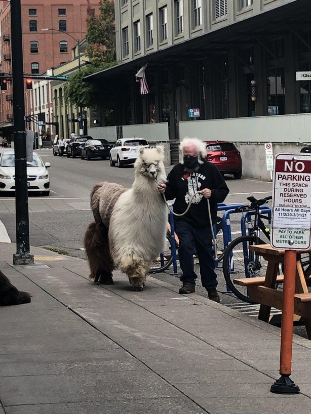 Foto - Günün en çok beğenilen ve paylaşılan fotoğrafları