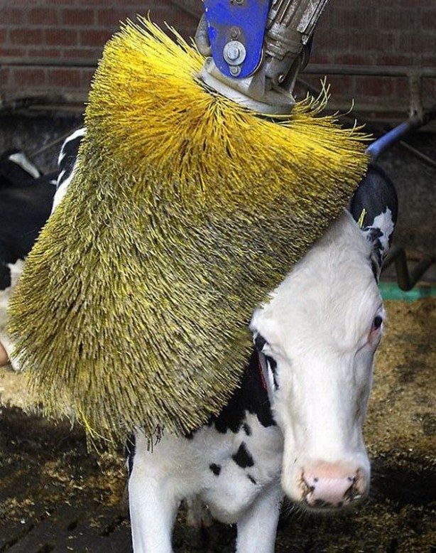 Foto - Günün en çok beğenilen ve paylaşılan fotoğrafları