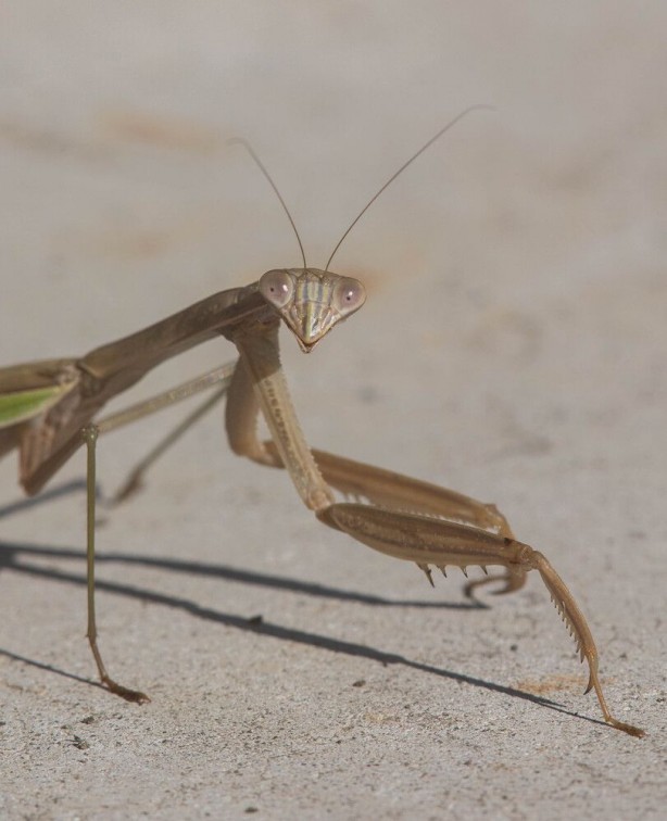 Foto - Günün en çok beğenilen ve paylaşılan fotoğrafları