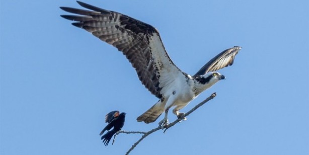 Günün en çok beğenilen ve paylaşılan fotoğrafları
