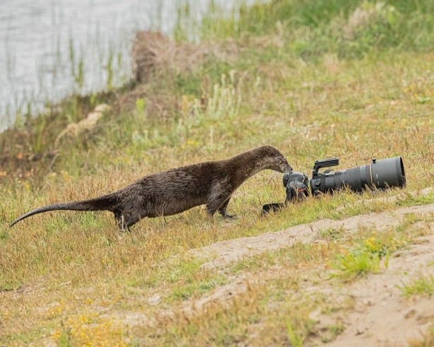 Foto - Günün en çok beğenilen ve paylaşılan fotoğrafları