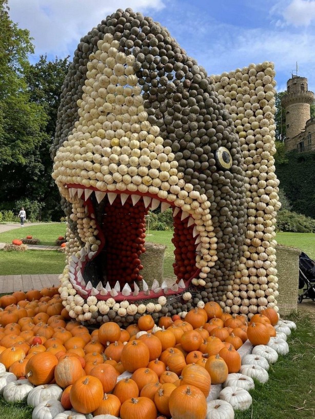 Foto - Günün en çok beğenilen ve paylaşılan fotoğrafları