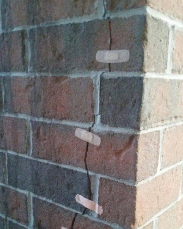 Foto - Günün en çok beğenilen ve paylaşılan fotoğrafları