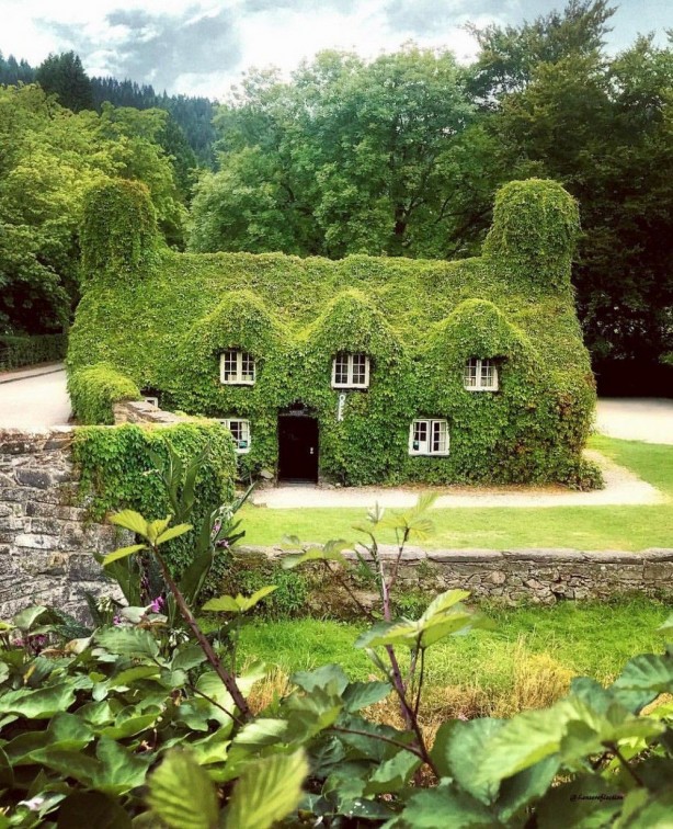 Foto - Günün en çok beğenilen ve paylaşılan fotoğrafları