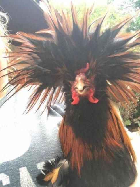 Foto - Günün en çok beğenilen ve paylaşılan fotoğrafları