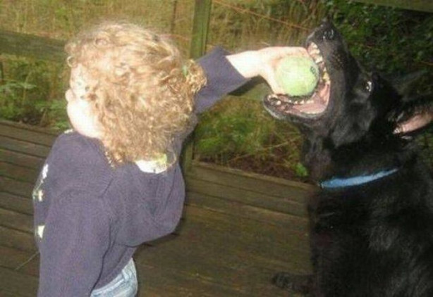 Foto - Günün ilginç kareleri