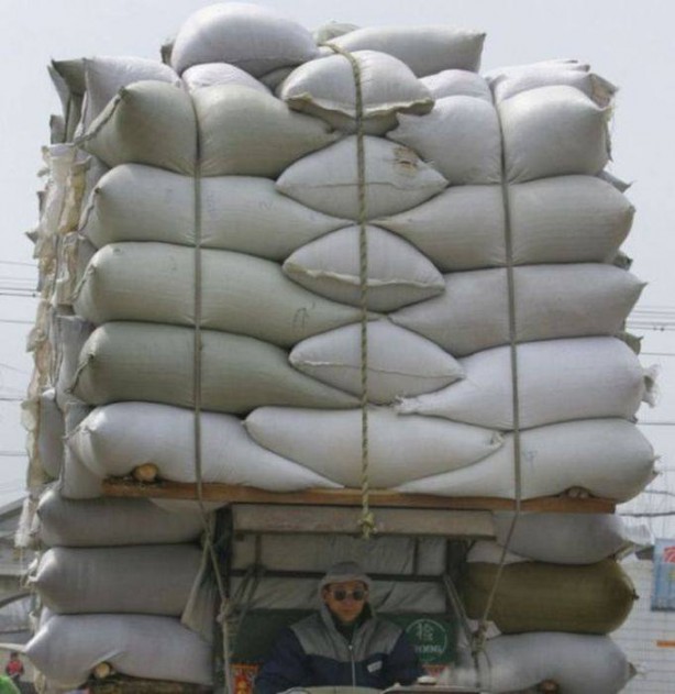 Foto - Günün ilginç kareleri