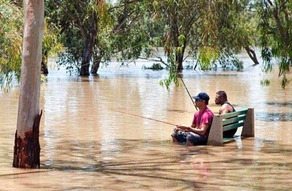 Foto - Günün ilginç kareleri
