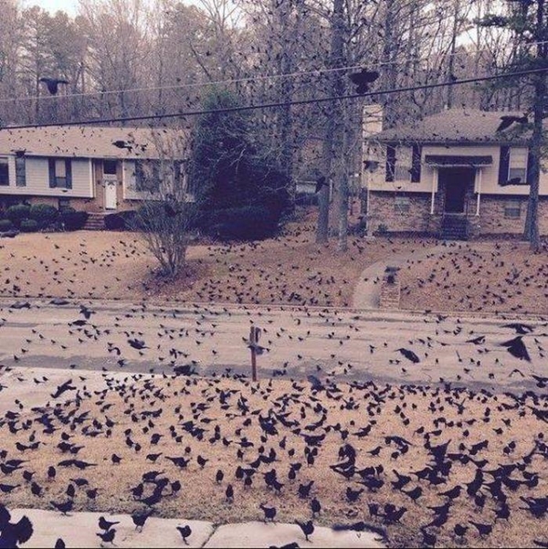 Foto - Günün ilginç kareleri