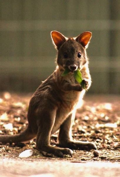 Foto - Günün ilginç kareleri