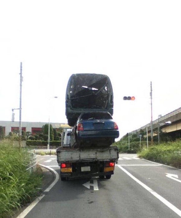 Foto - Günün ilginç kareleri