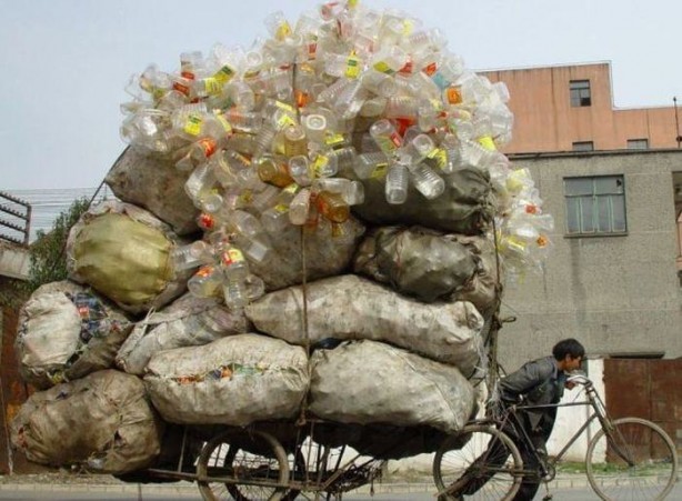 Foto - Günün ilginç kareleri