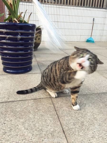 Foto - Günün ilginç kareleri