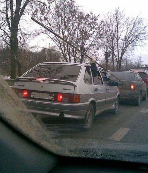 Foto - Günün ilginç kareleri