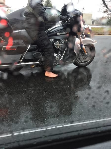 Foto - Günün ilginç kareleri