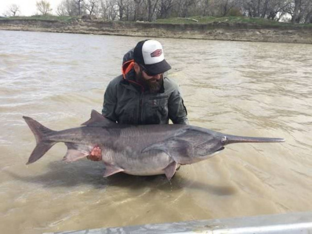 Foto - Günün ilginç kareleri