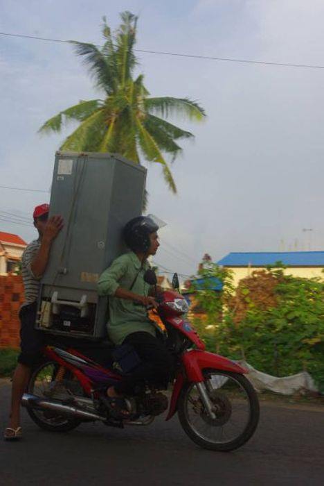 Foto - Günün ilginç kareleri