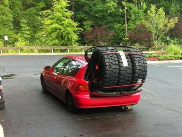 Foto - Günün ilginç kareleri