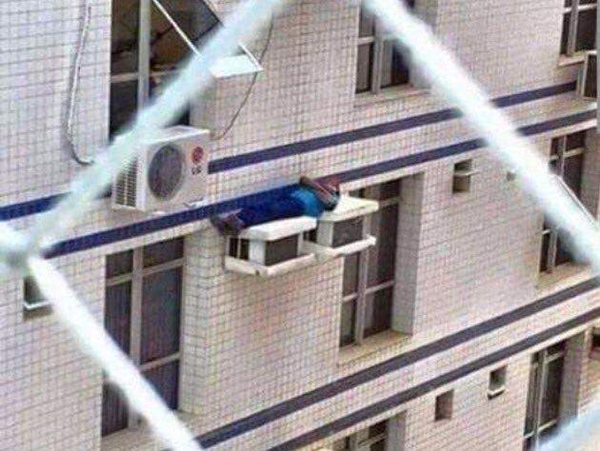 Foto - Günün ilginç kareleri