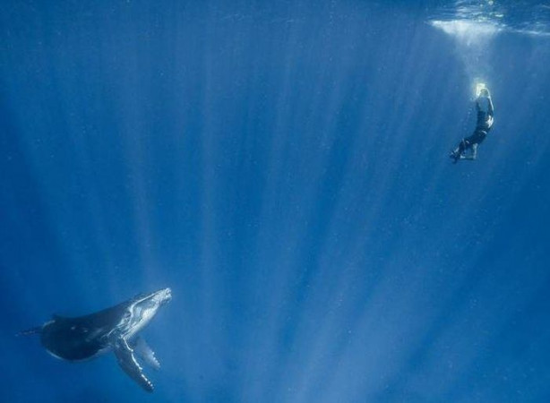 Foto - Günün ilginç kareleri