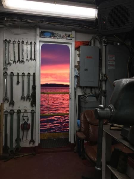 Foto - Günün ilginç kareleri