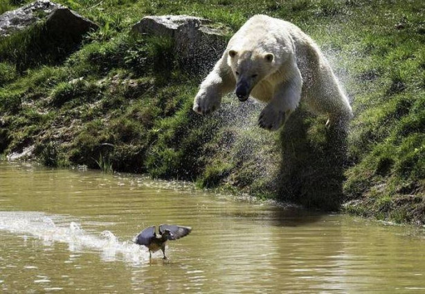 Foto - Günün ilginç kareleri