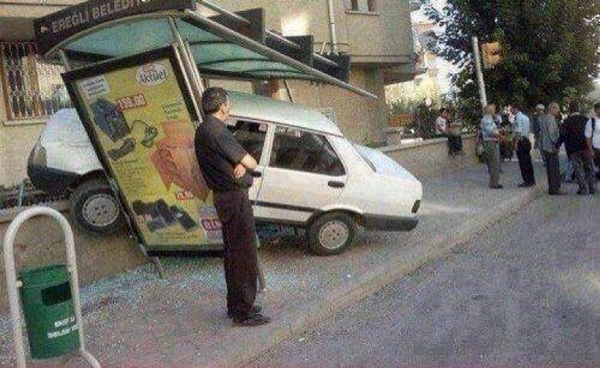 Foto - Günün ilginç kareleri