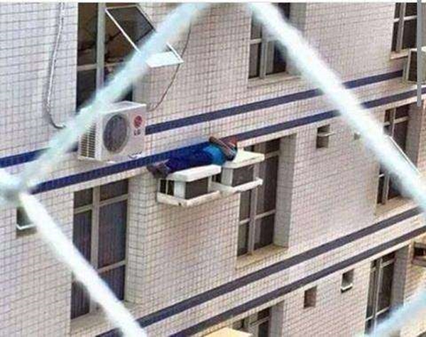 Foto - Günün ilginç kareleri