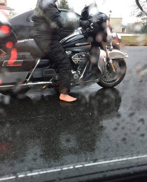 Foto - Günün ilginç kareleri