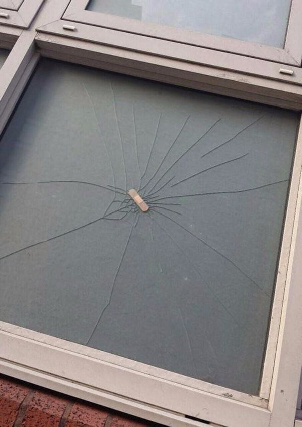 Foto - Günün ilginç kareleri