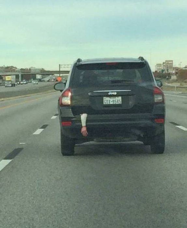 Foto - Günün ilginç kareleri