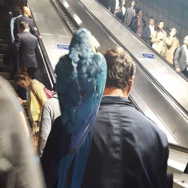 Foto - Günün ilginç kareleri