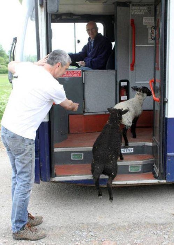 Foto - Günün ilginç kareleri