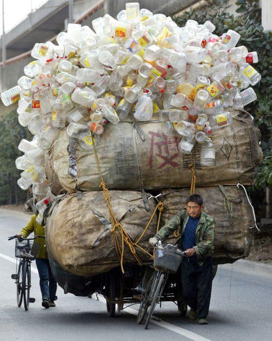 Foto - Günün ilginç kareleri
